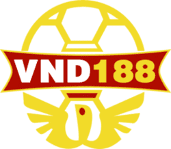 sudoku solver asset nyt
